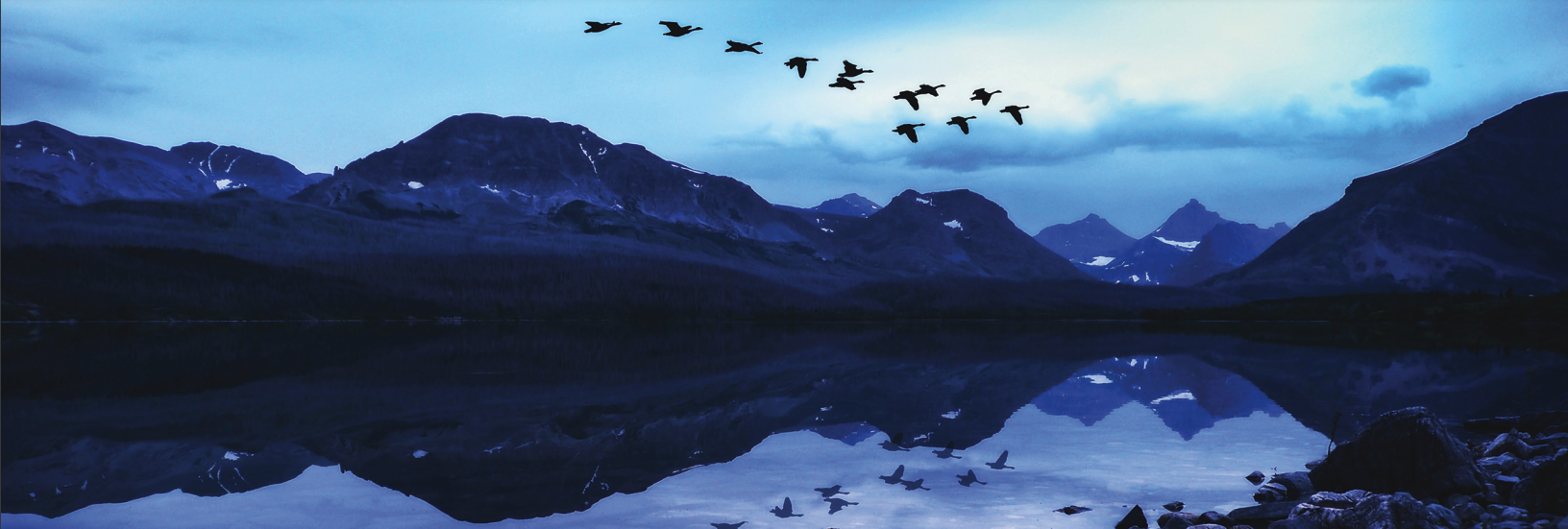 geese over mountains