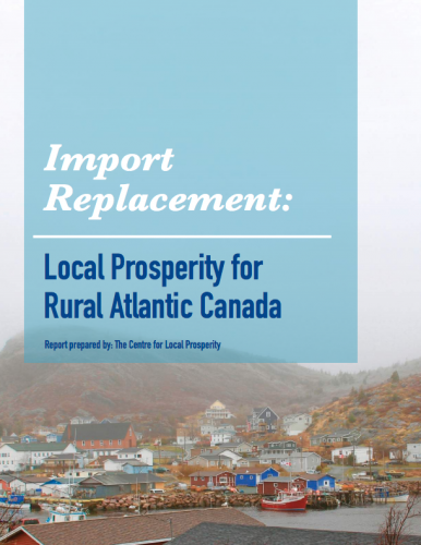 Local Economic Resilience through Import Replacement
