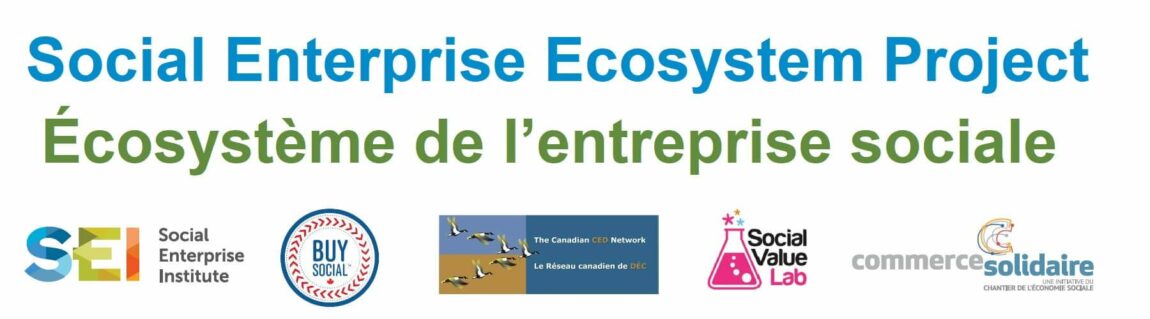 social enterprise ecosystem project