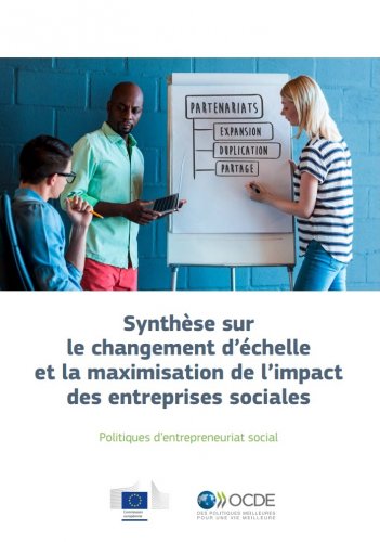Synthèse sur le changement d'échelle et la maximisation de l'impact des entreprises sociales : Politiques d'entrepreneuriat social