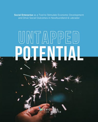Untapped Potential: Social Enterprise as a Tool to Stimulate Economic Development and Drive Social Outcomes in Newfoundland & Labrador