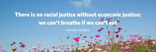 Image of flowers with text: "there is no racial justice without economic justice: we can't breathe if we can't eat"