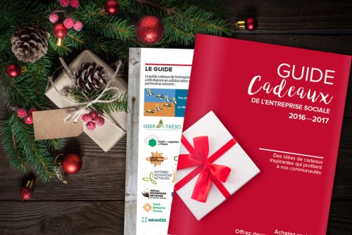 Guide Cadeaux de l'entreprise sociale 2016-2017 de ESontario.org