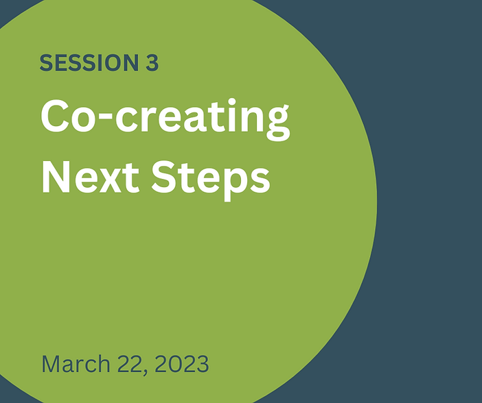 Session 3 - Co-creating Next Steps