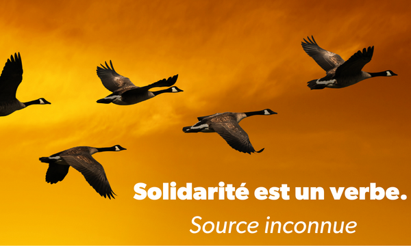 Vol d'oies devant le coucher du soleil avec texte : "La solidarité est un verbe. Source inconnue"