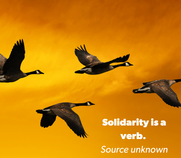 Geese flying in front of a sunset with text: 