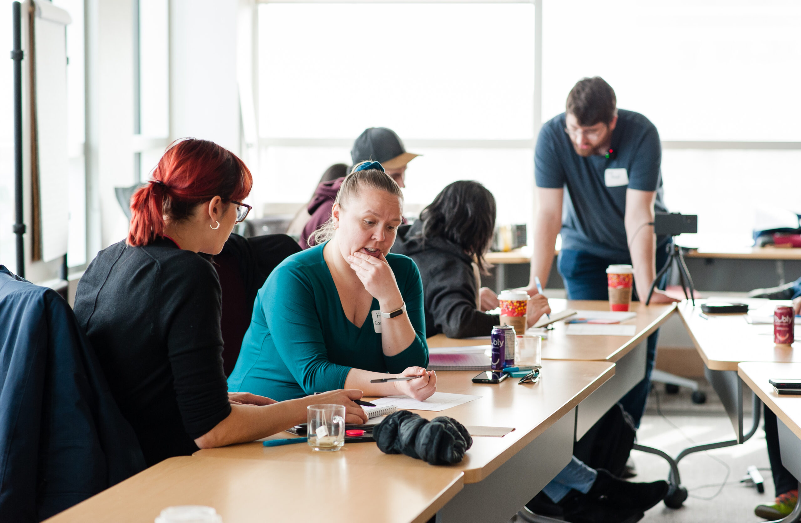 CCEDNet workshop participants
