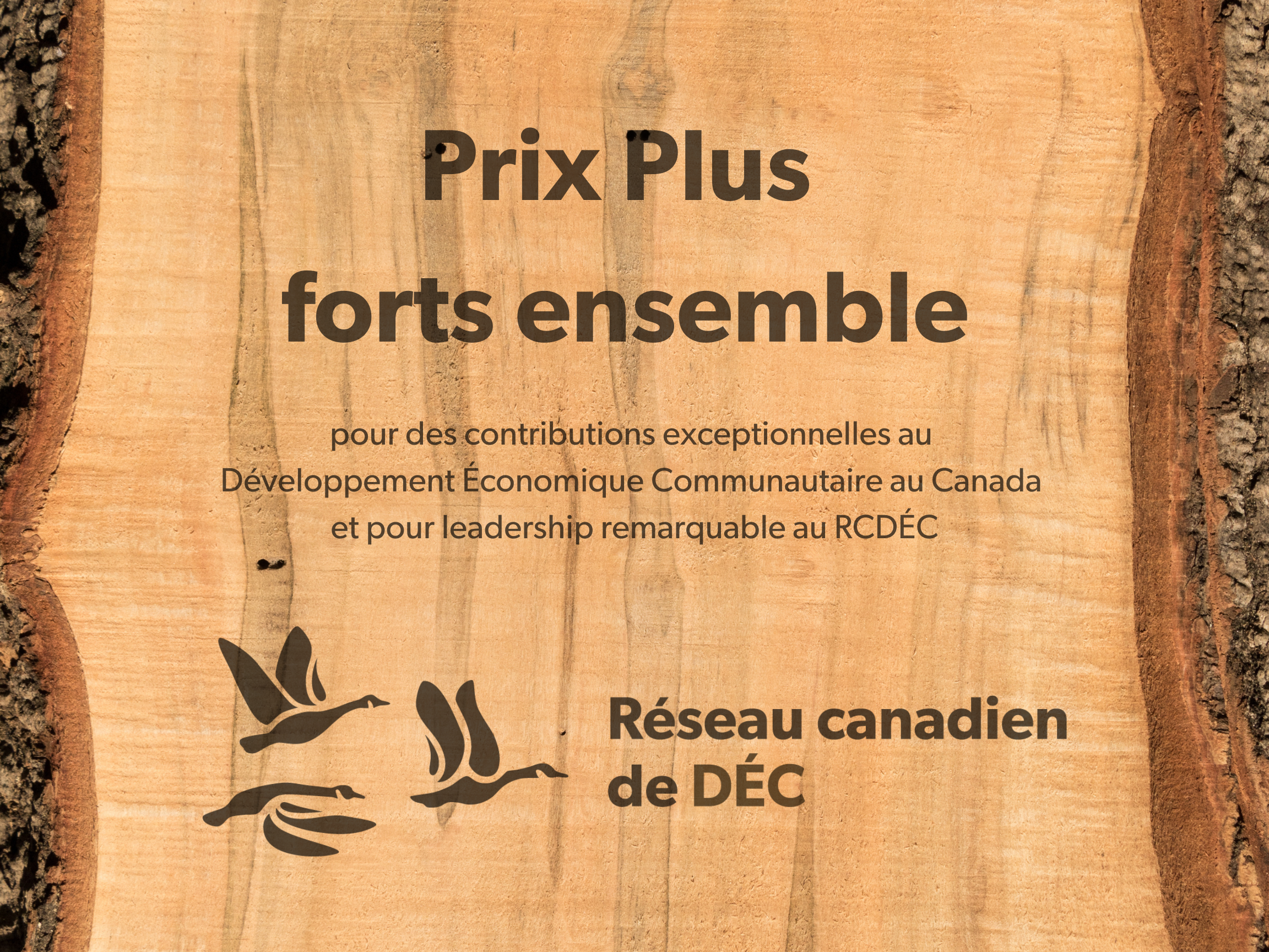 Prix Plus forts ensemble : pour des contributions exceptionnelles au Développement Économique Communautaire au Canada et pour leadership remarquable au RCDÉC