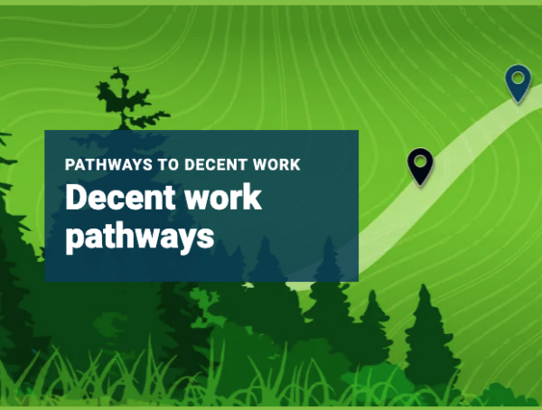 Cartoon of a landscape with different map pins with text that says Decent Work Pathways