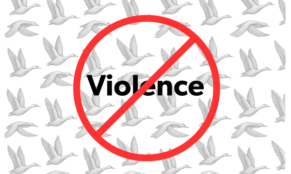 No violence