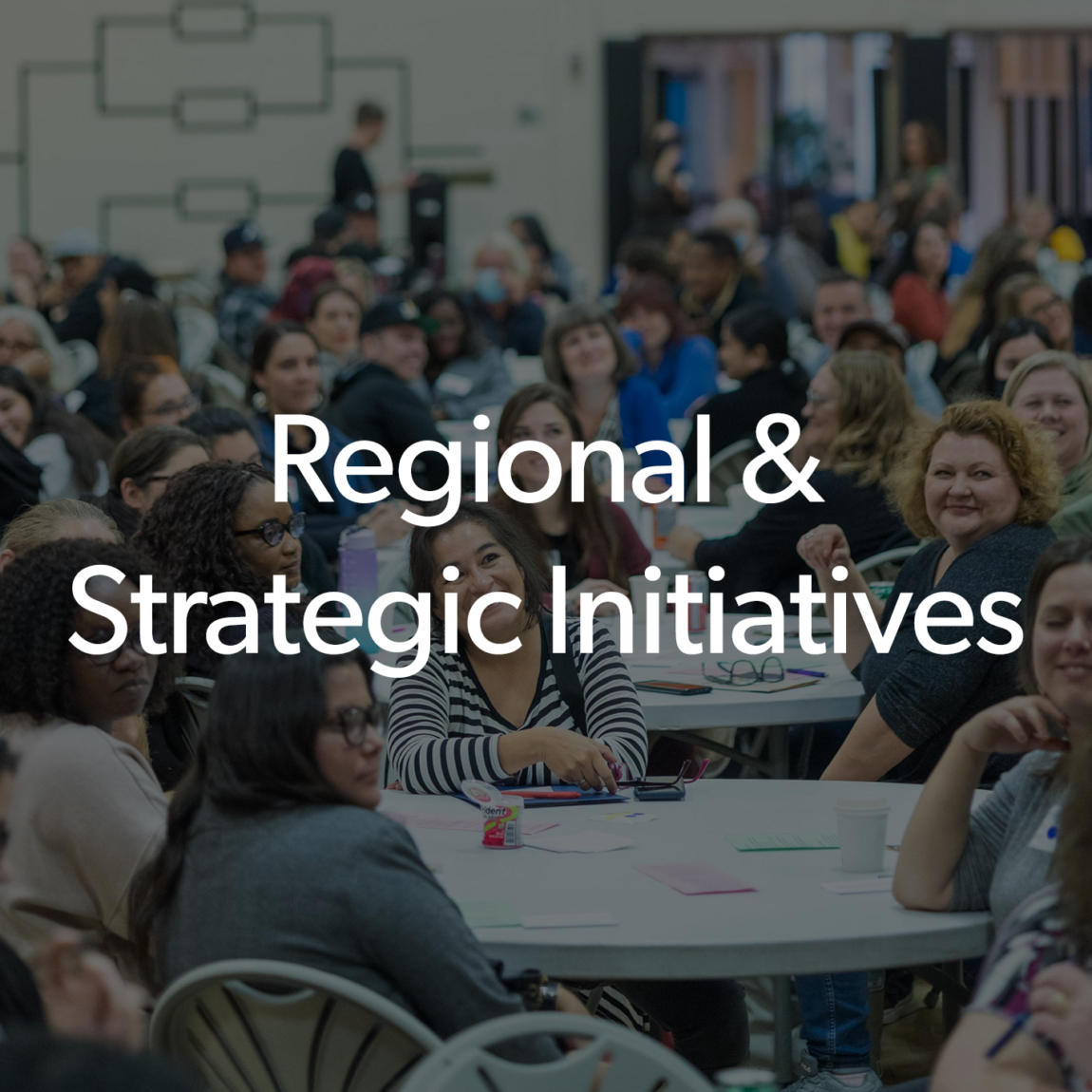Regional & Strategic Initiatives